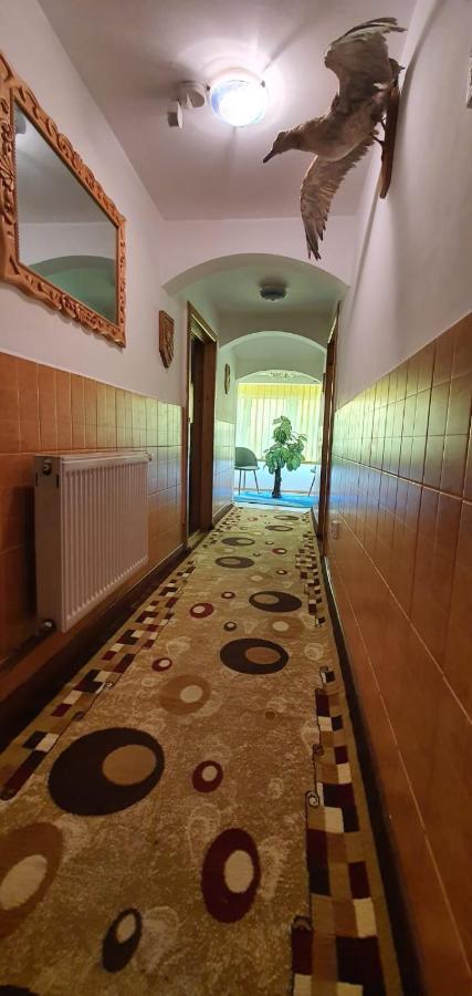 Villa Casa Cristian à Câmpulung Moldovenesc Extérieur photo
