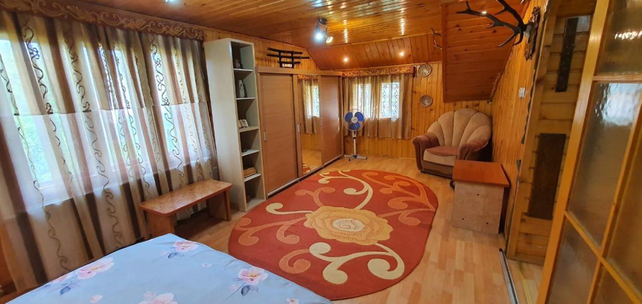 Villa Casa Cristian à Câmpulung Moldovenesc Extérieur photo