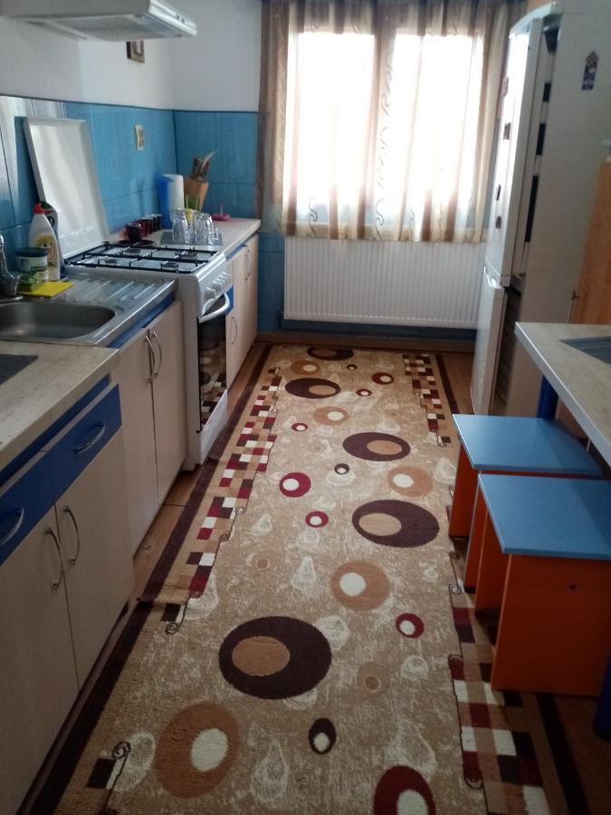 Villa Casa Cristian à Câmpulung Moldovenesc Extérieur photo