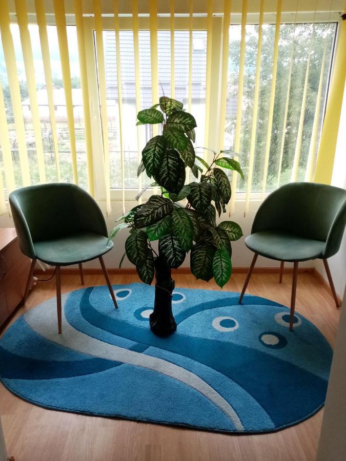Villa Casa Cristian à Câmpulung Moldovenesc Extérieur photo